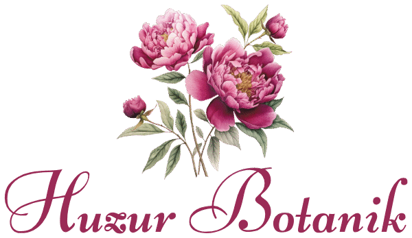 Huzur Botanik Logo